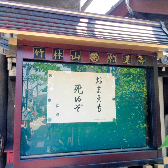 【お寺の掲示板の深い言葉 37】速報！第1回大賞受賞作は「おまえも死ぬぞ」に決定