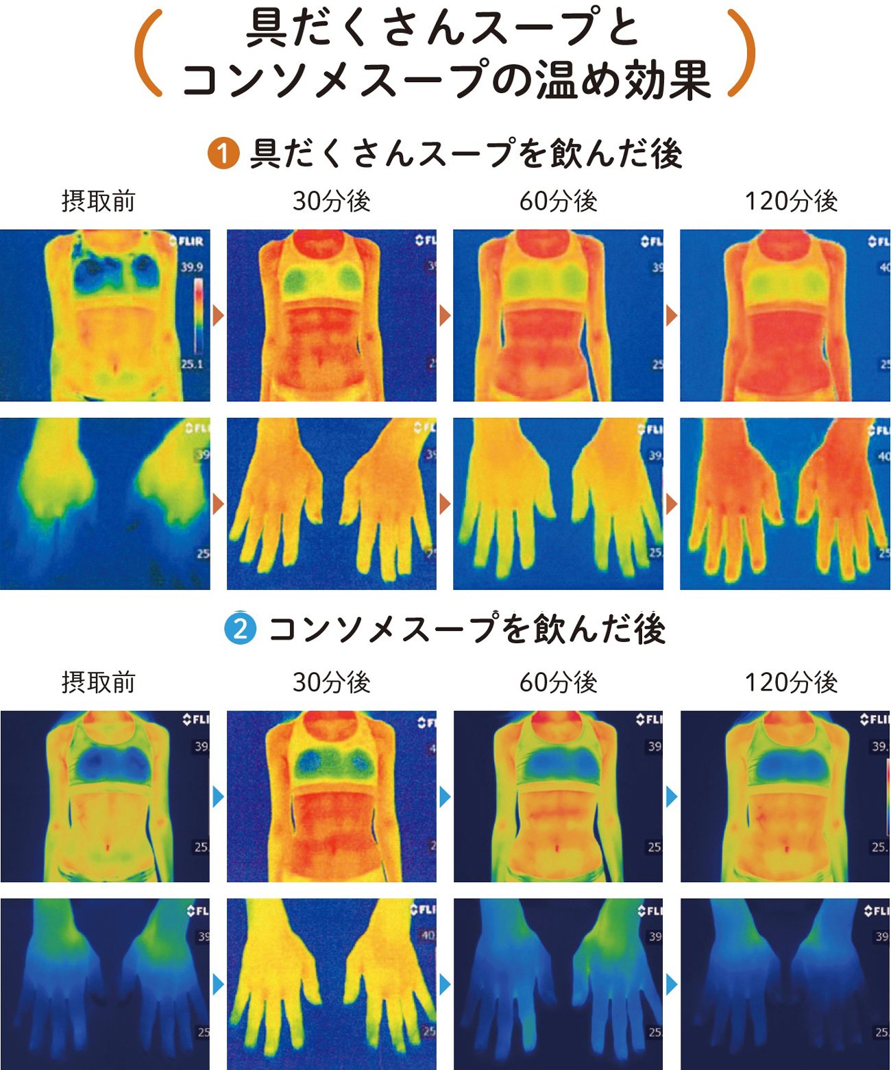 具だくさんスープとコンソメスープの温め効果