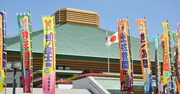 稀勢の里効果!?取り口が魅力の日本人若手力士が続々登場