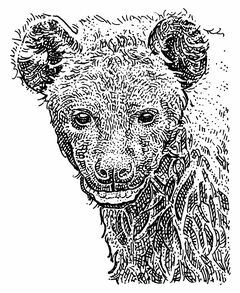 動物保護区のオーバーツーリズム、アプリで制御へ