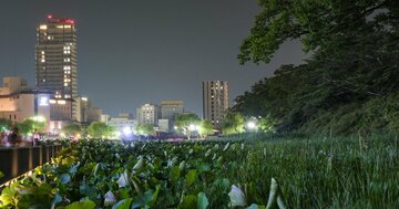 【食通が遠征】「きりたんぽだけ」は大間違い、秋田ガストロノミーの底力