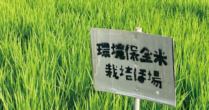 環境保全米栽培圃場