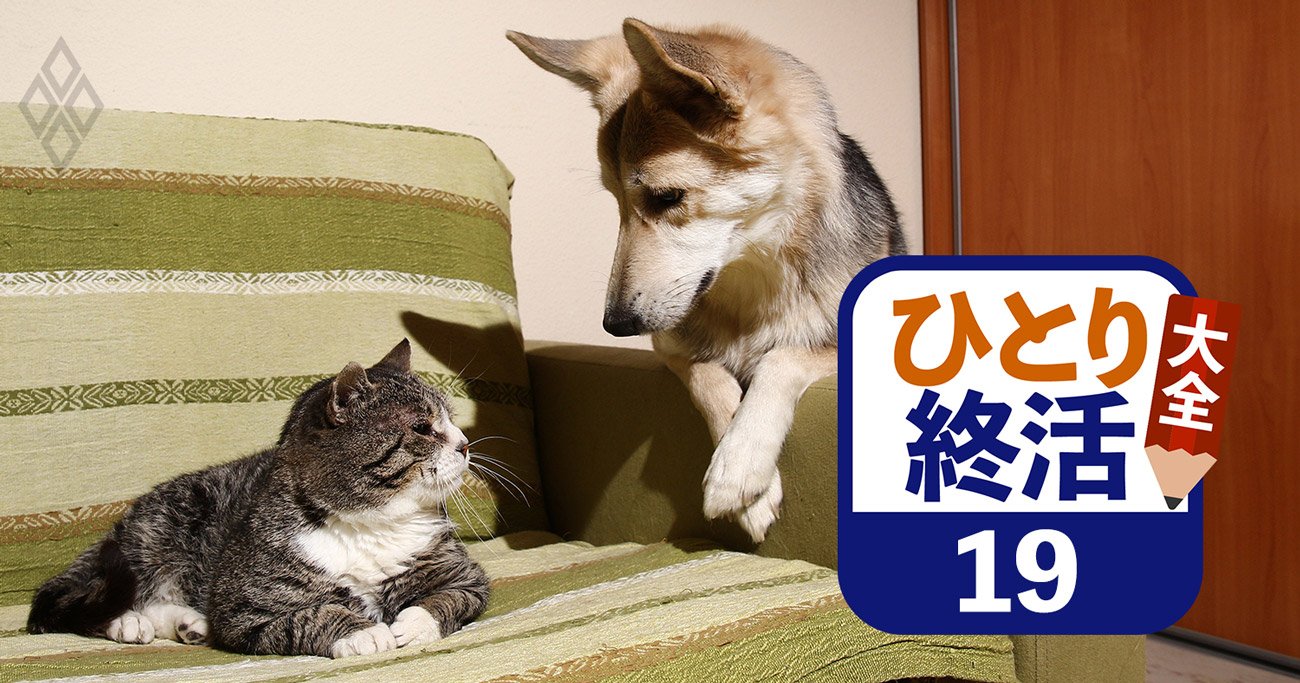 犬100万円、猫80万円…「老犬・老猫ホーム」のお値段と賢い選び方