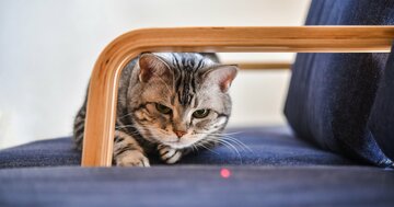 周りの評価がついつい気になってしまうあなたへ