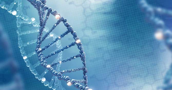 DNA