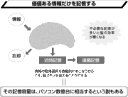 記憶力アップの秘訣は、「忘れる」こと