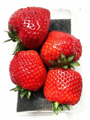 【中学受験の良問・社会】「いちごの収穫量上位の都道府県は？」…栄東や浦和明の星などで類題！果実みたいな野菜の「統計」問題
