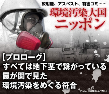 【プロローグ】すべては地下茎で繋がっている 霞が関で見た環境汚染をめぐる符合