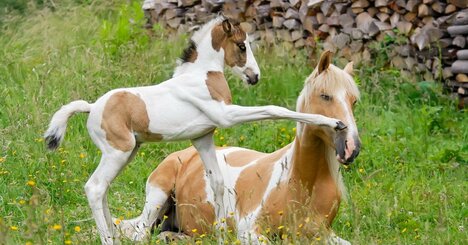 【大チャンスを逃すな!!】60年に一度のとてつもないパワーをインストールできる人の開運習慣とは？