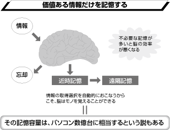 記憶力アップの秘訣は、「忘れる」こと