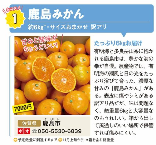 佐賀県鹿島市の鹿島みかん