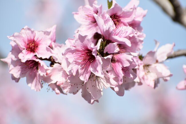 【眼科医が警告】40代から要注意な〈見え方〉の異変「夕方になると見えにくい」「明るいところがまぶしい」…他には？