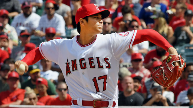 大谷翔平のプレーを生で観たい!予算はどれくらい?