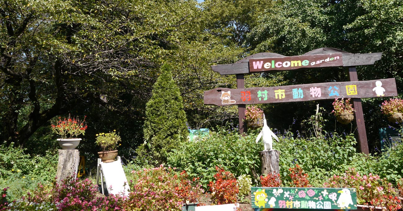 羽村市,小学校
