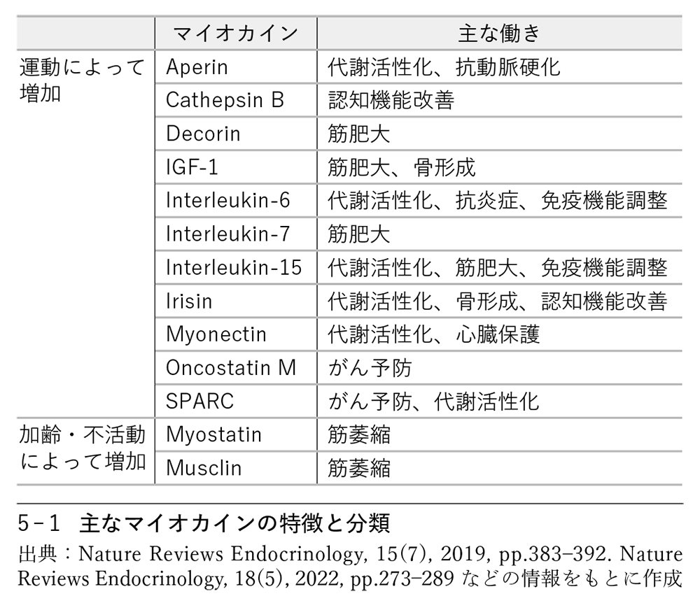 図5-1：主なマイオカインの特徴と分類
