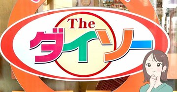 ミニ財布にちょうどいい…！ダイソーの「小銭が入るキーケース」クレカや診察券もスポッとしまえるの！