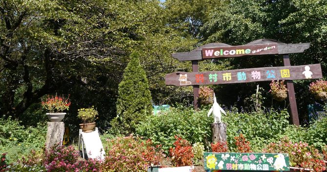 羽村市,小学校