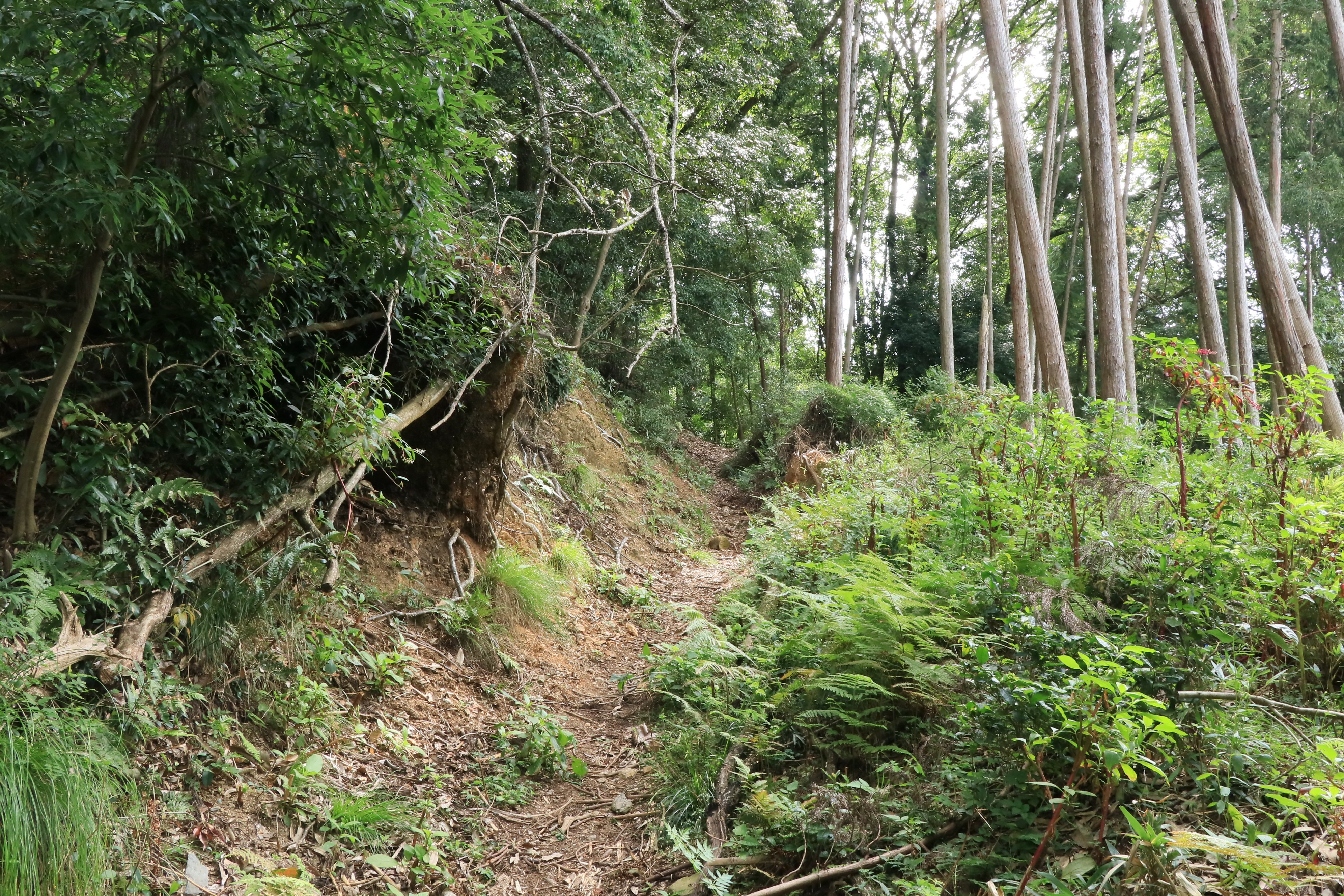 明知越の亀山側入口