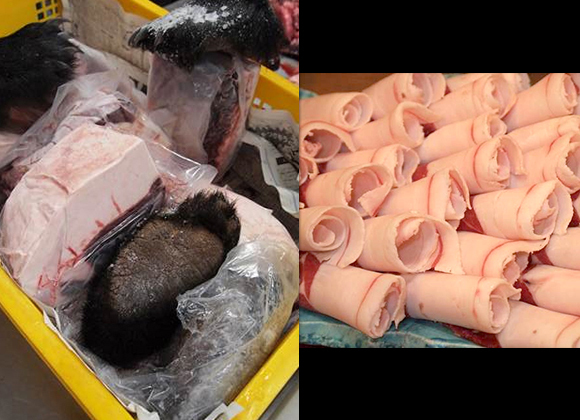 プロローグ――<br />熊は、肉よりも右手よりも、脂がうまい