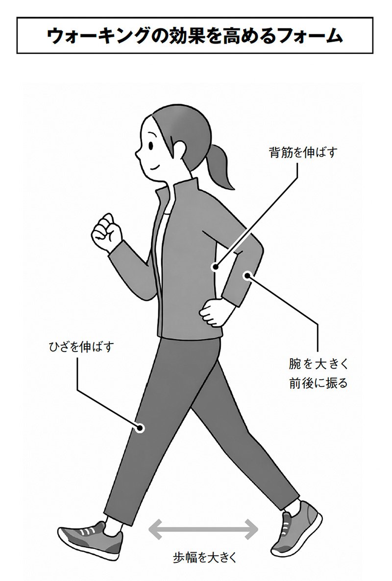 図：ウォーキングの効果を高めるフォーム