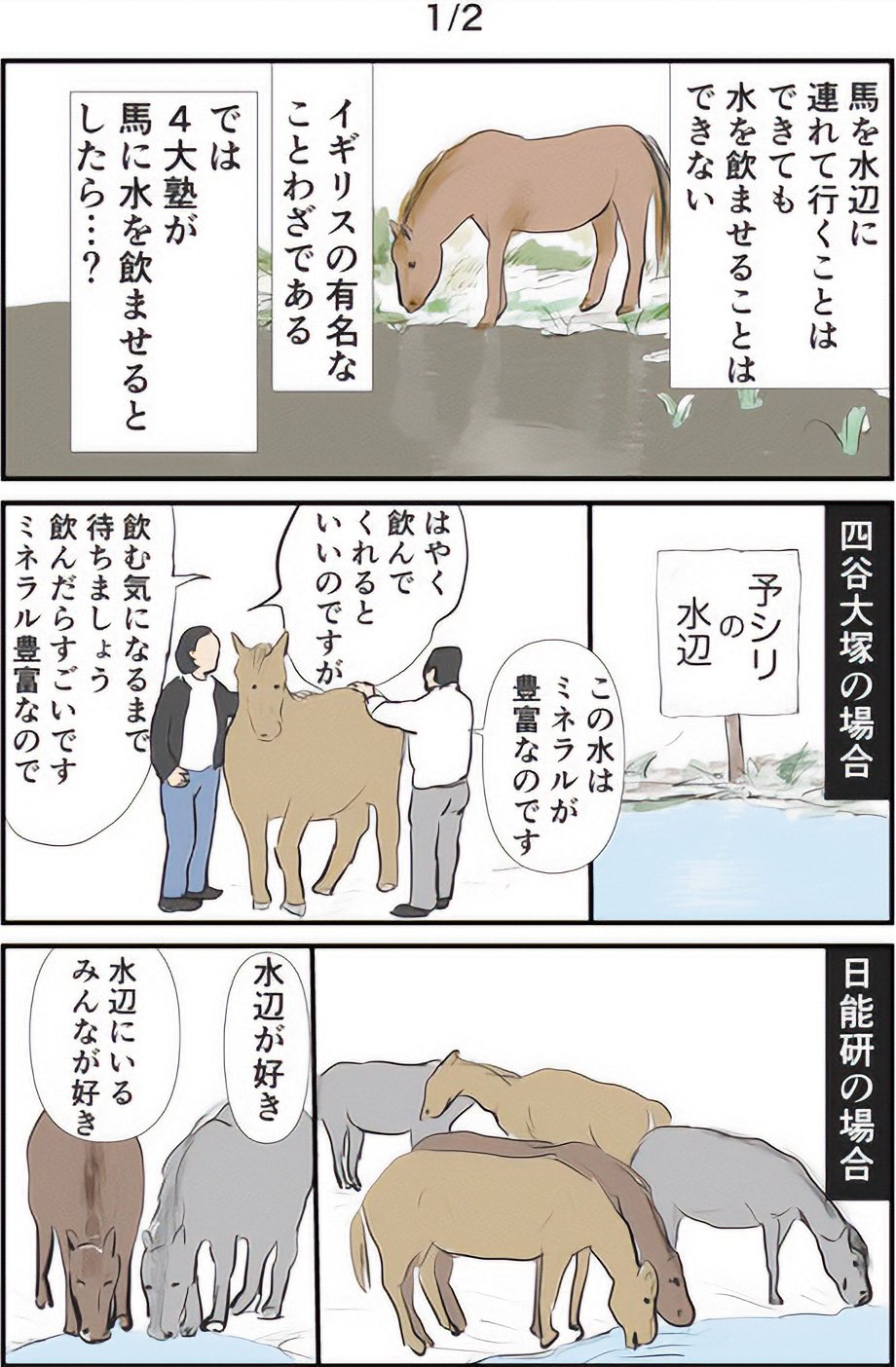 『ギャグ漫画家の母が初めて中受伴走をしてみたら』りえ太郎