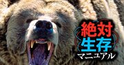 クマに9回襲われて生還した識者が伝授「死んだふりは有効でコツがある」