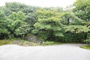 圓徳院の中