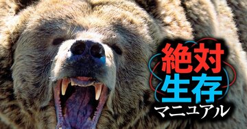 クマに9回襲われて生還した識者が伝授「死んだふりは有効でコツがある」
