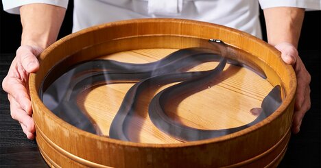 え、夏じゃなかったの？「うなぎの一番おいしい季節」論争、愛好家がたどり着いた答えとは