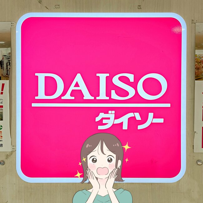 もう普通の財布に戻れないかも…！ダイソーの「ぺたんこ財布」お札が折らずに入るし、カギやカードも収納できて嬉しい！