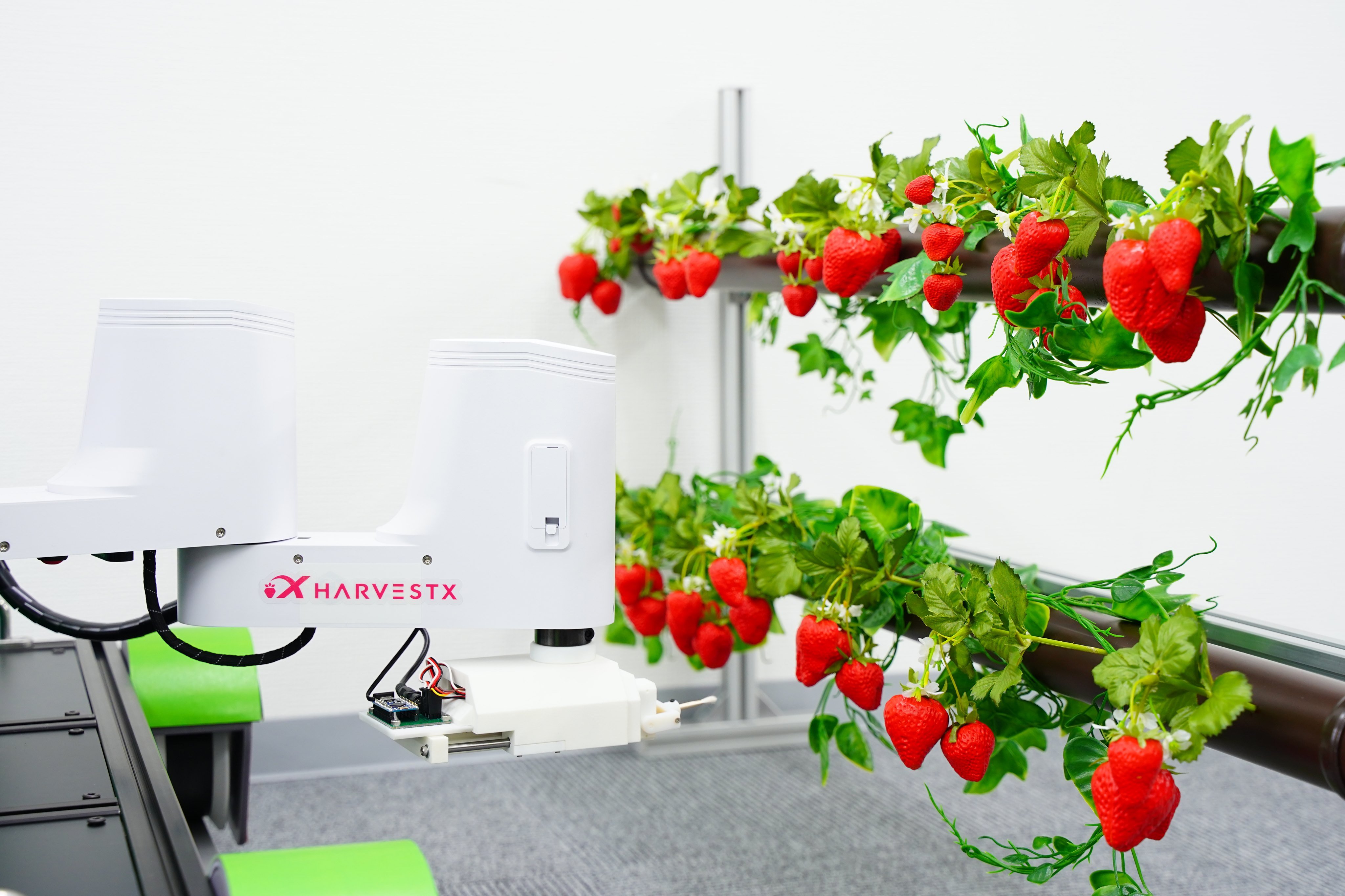 HarvestXが研究開発を進めている、いちごの受粉・収穫を自動化するロボット  画像提供 : HarvestX