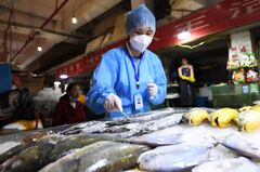 中国のコロナ狩り、冷凍魚介類まで検査