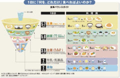 いつ、何を、どれだけ食べるか？「バランスが肝」となる食生活