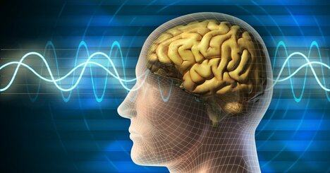 寝るだけで脳が再生する納得の理由とは？