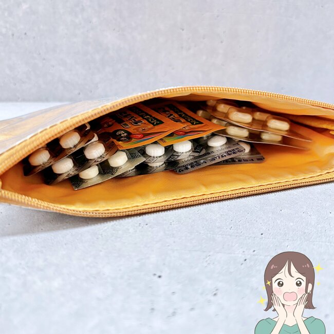 通院セットがまるっと入った!スターバックスの“紙袋みたいなポーチ”お薬が80錠も入るし、デザインが可愛すぎる!《購入レビュー》