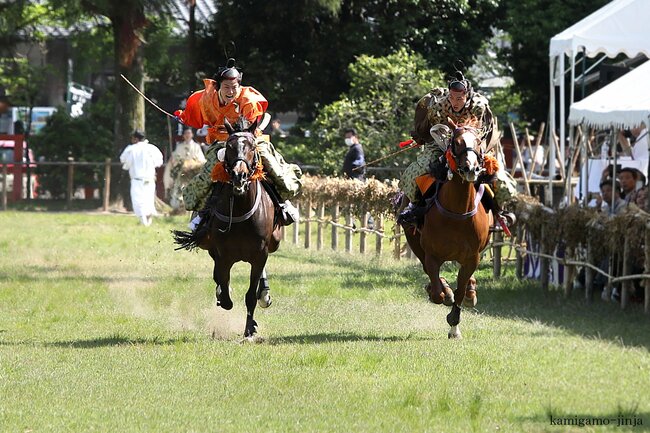 賀茂競馬