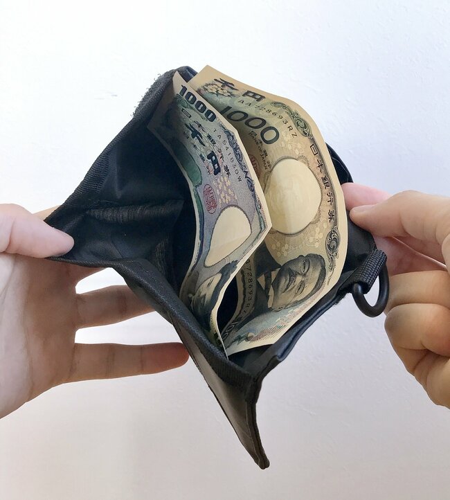 もう普通の財布に戻れないかも…！ダイソーの“お札もカードも入るミニ財布”ガバッと開いて使いやすい！《購入レビュー》