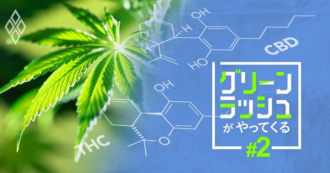 グリーンラッシュがやってくる#2