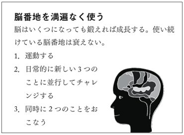 図表1：脳番地を満遍なく使う