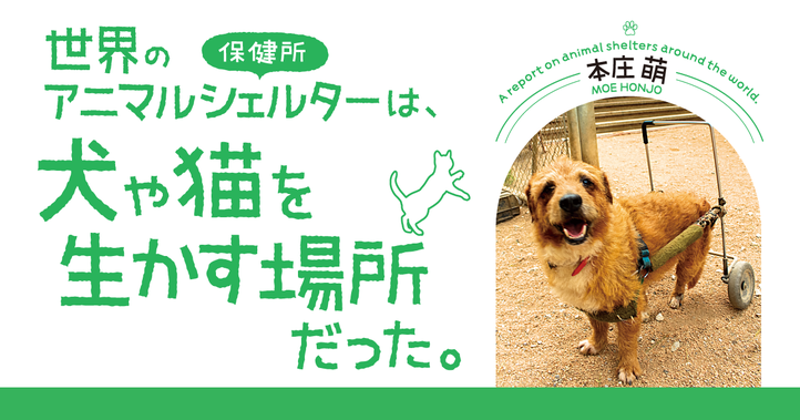 世界のアニマルシェルターは、 犬や猫を生かす場所だった。