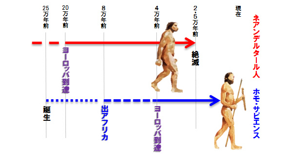 ｢汗｣と｢女性化｣が人類にイノベーションをもたらした