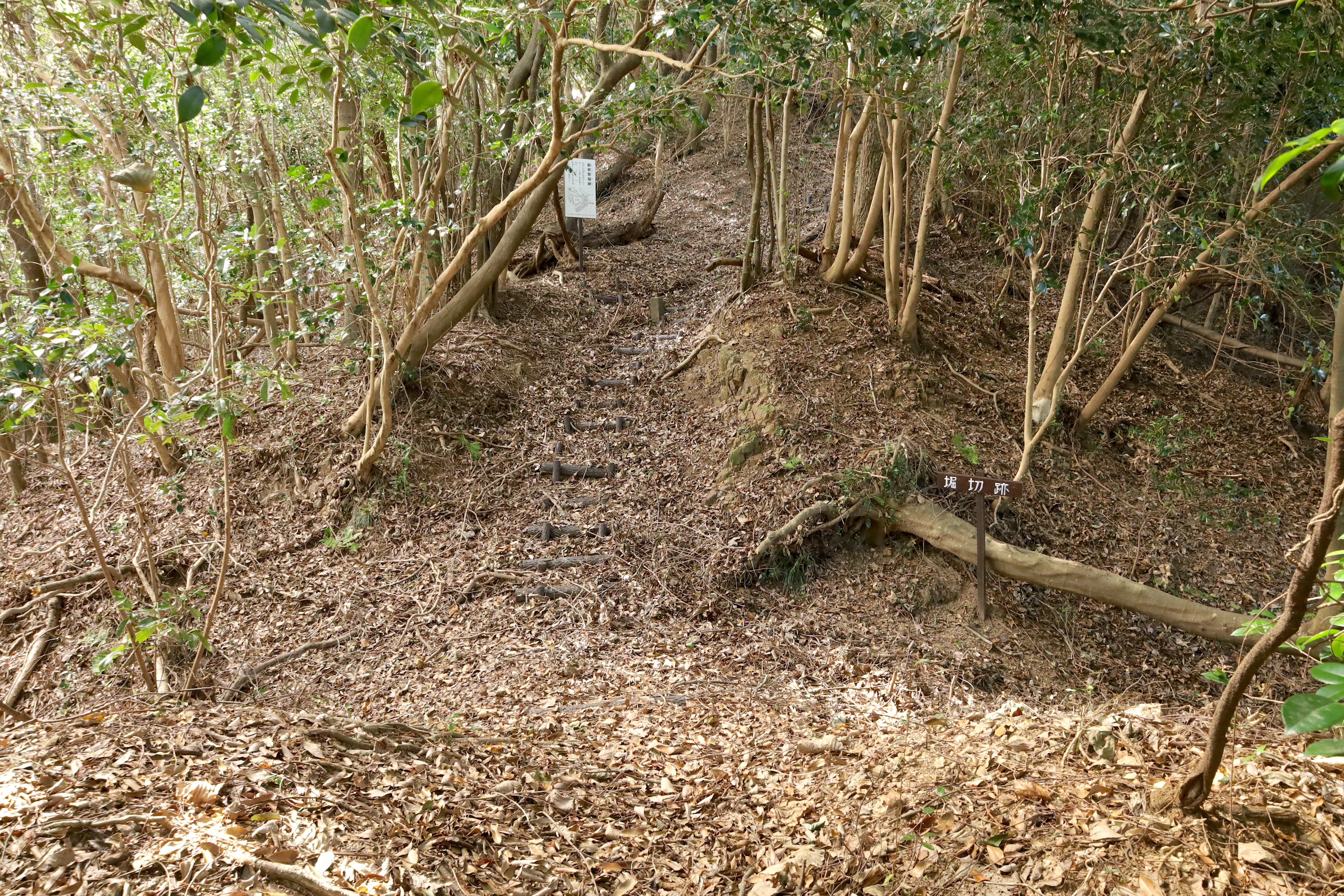 鶴賀城の堀切