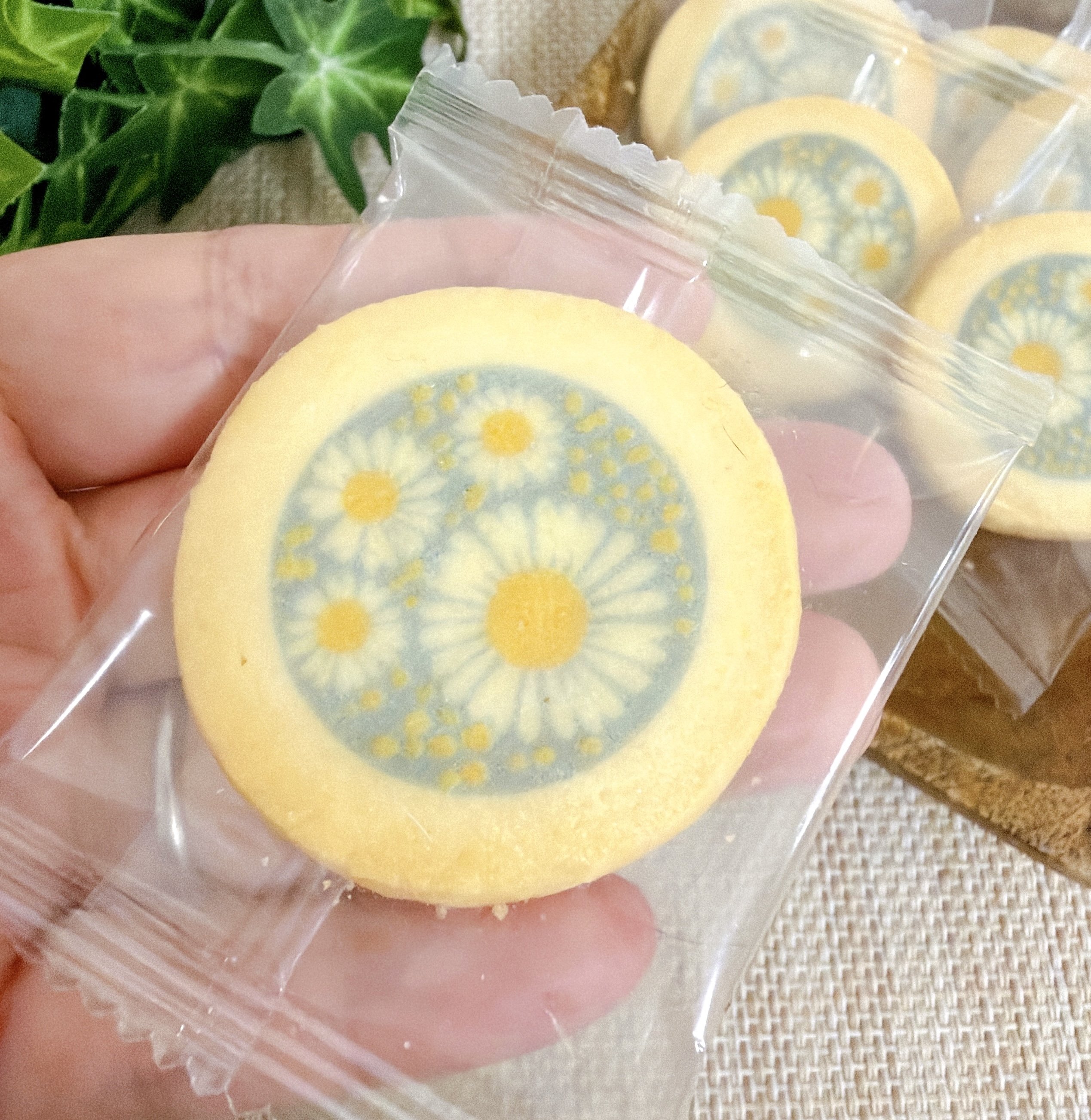 昭和にタイムスリップしたみたい!コージーコーナーの「レトロかわいいバッグ」お菓子がたっぷり入っててコスパすごい!《購入レビュー》