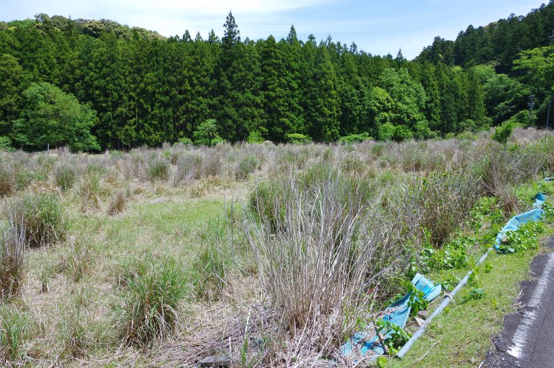 「いらない土地」の放置は超危険! 法律改正で罰則ができました