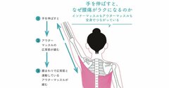 9割の人が知らない、手を伸ばすと腰痛がラクになる理由