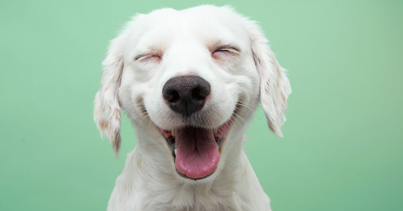 欲しいものを“あえて買わない人”ほど幸せになる。その深すぎる理由