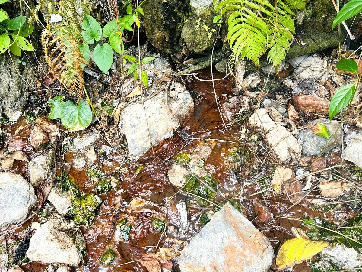 知られざる山奥の秘湯に一緒に入ろう！コロンビアで超豪快な「最も高熱な滝湯」につかる