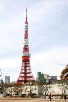 強敵スカイツリーの開業がむしろ追い風に？誰も知らない「東京タワー」の恐るべき底力