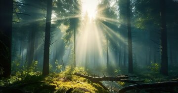 【精神科医が教える】「死ぬのが怖い」が消えていく“たった1つの方法”【書籍オンライン編集部セレクション】