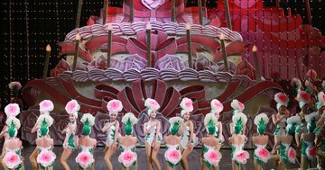 宝塚歌劇団を愛する年収800万円59歳女性、老後に宝塚移住・ヅカ三昧は可能？